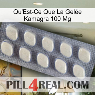 What Is Kamagra Jelly 100Mg 08